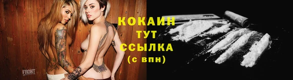 прущие грибы Ростов