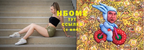 прущие грибы Алзамай
