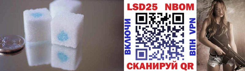LSD-25 экстази кислота  блэк спрут зеркало  Новопавловск 